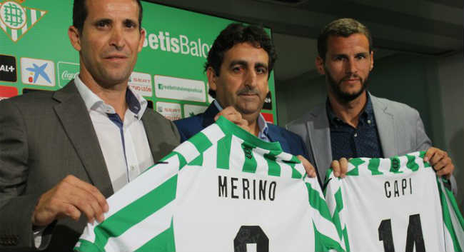 Merino Capi