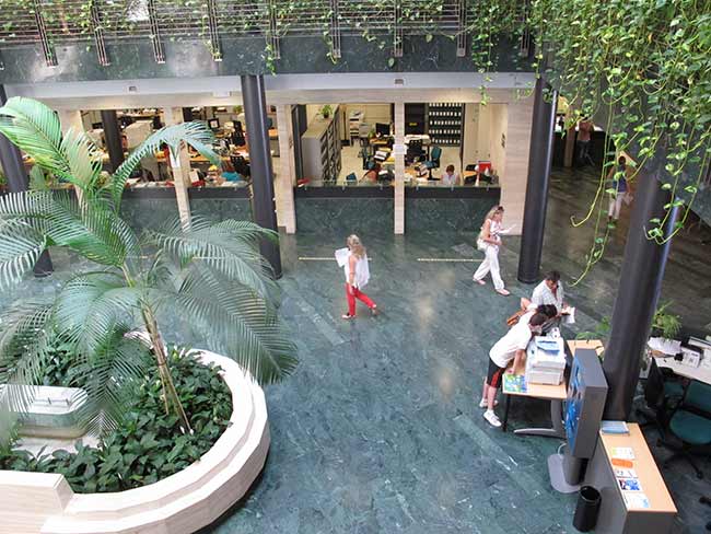 ayuntamiento-dos-hermanas