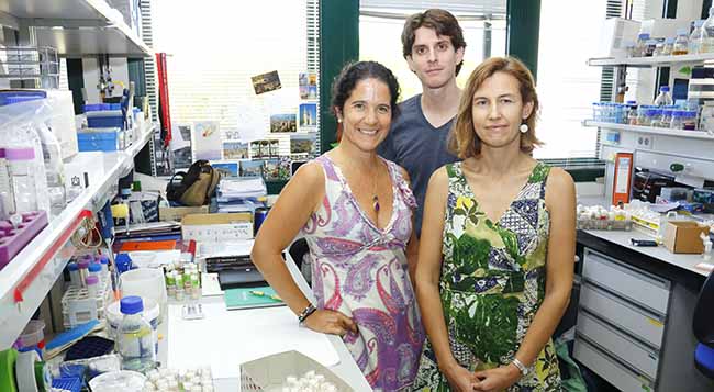 beatriz-estrada-investigacion