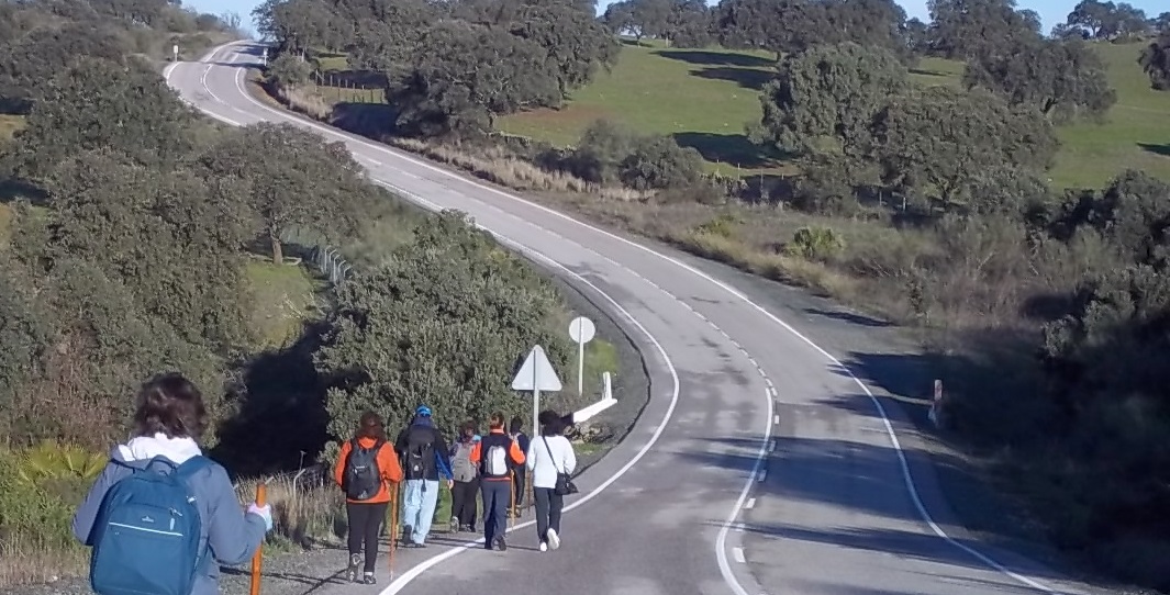 La vía pecuaria que el Ayuntamiento ha acordado modificar con dos terratenientes permanece hoy ocupada, obligando a los peregrinos del Camino de Santiago a transitar en el arcén de la carretera / Sevilla Actualidad