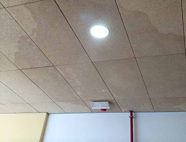 deficiencias-biblioteca-alcala