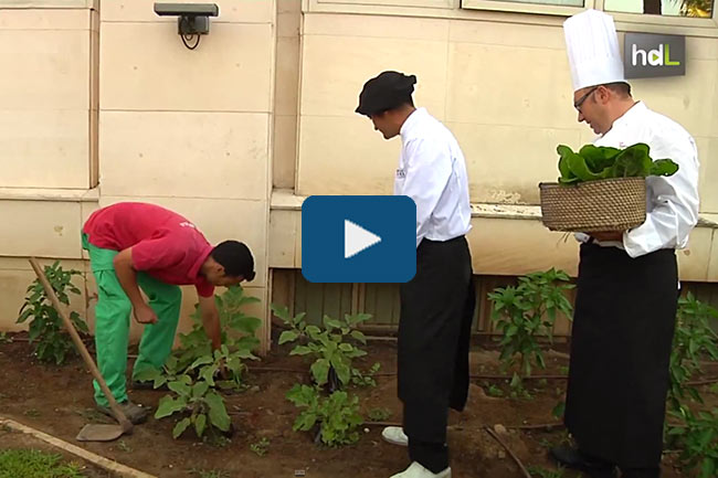 hotel-huerto-ecologico