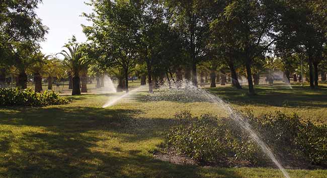 riego-parque-de-las-marismas