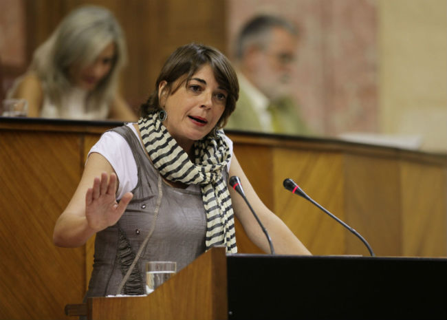 La consejera de Fomento, Elena Cortés, en una intervención parlamentaria