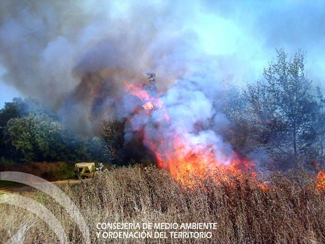 incendio alcolea del rio