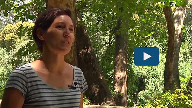 arboles-riberas-gudaira