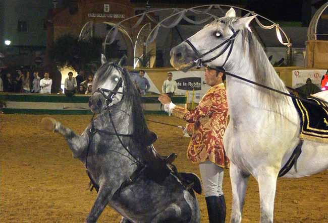 espectaculo-ecuestre-para-gines