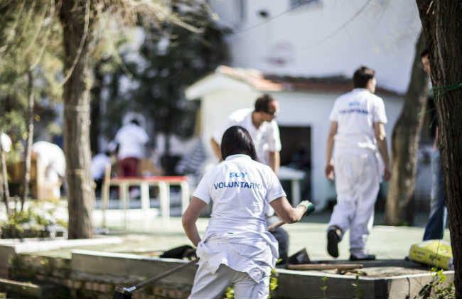 estudio-voluntariado-sept-2014