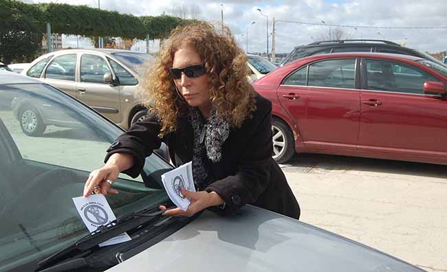 pilar-tavora-zona-azul-coche