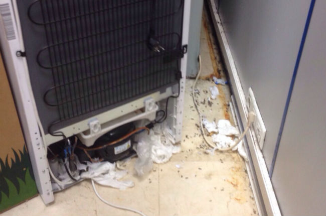 roedores-suciedad-comisaria-triana