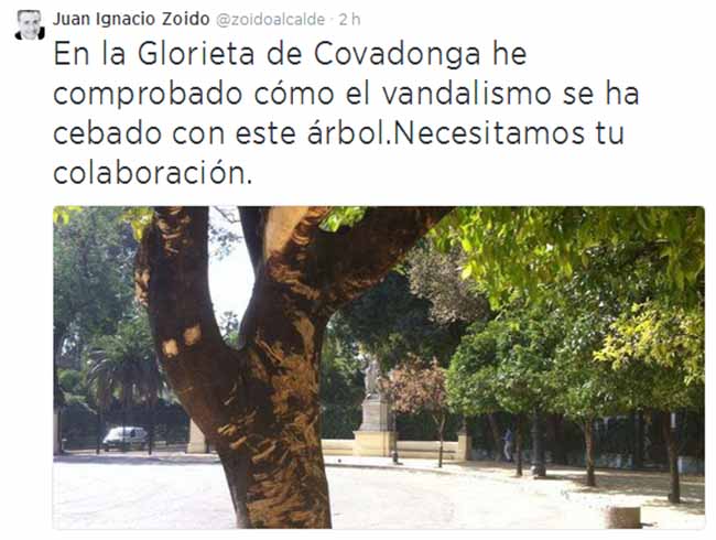 tuit-alcalde-sevilla