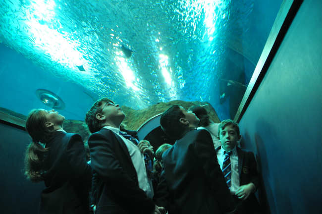 Foto 3 El colegio St