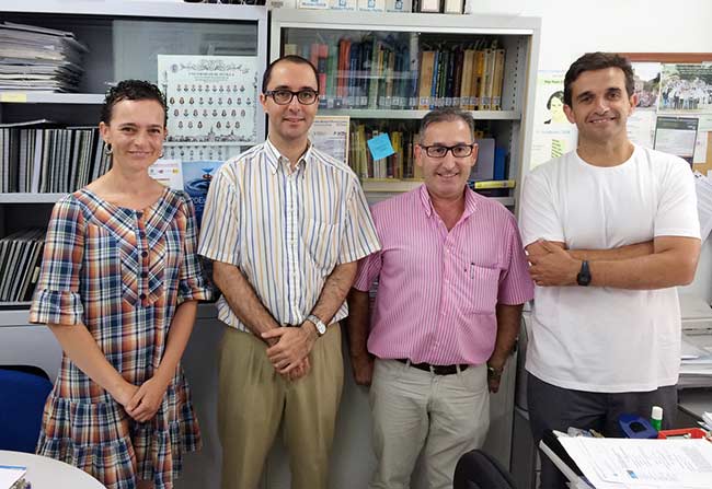 Grupo-de-investigacion