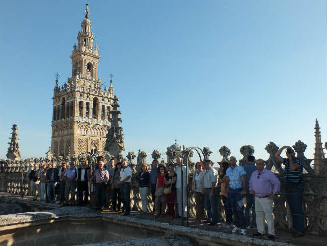 arquitectos cubierta catedral