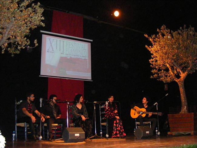 festival-flamenco-de-gines-2013