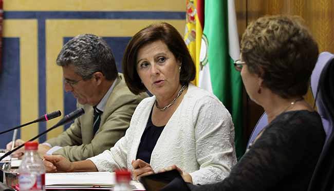 sanchez-rubio-comision-parlamento