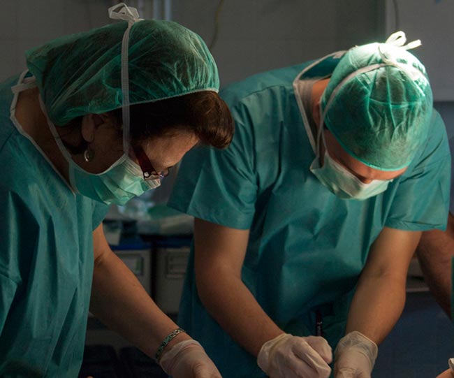 trasplante-organos-medicos