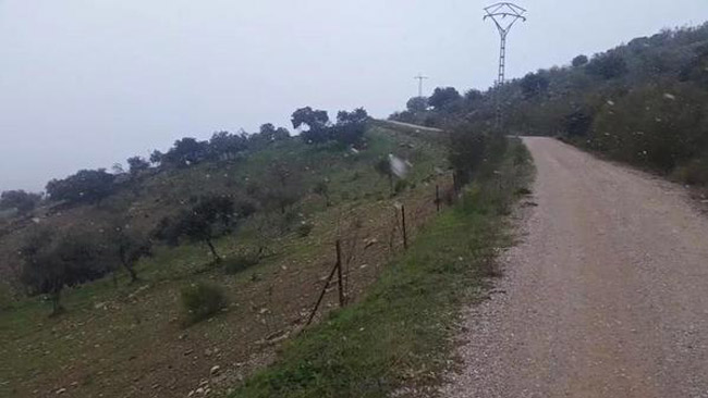 copos-nieva-guadalcanal--alcalde-jesusma