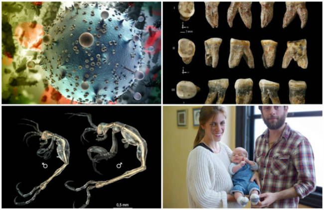 recopilatorio-avances-ciencia2014-sinc