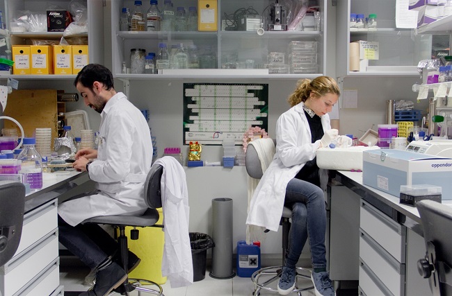 grupo-andres-aguilera