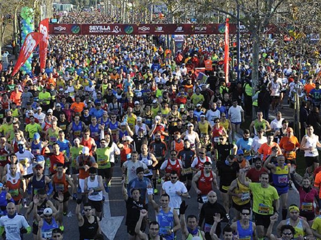 maraton-sevilla-2015-01