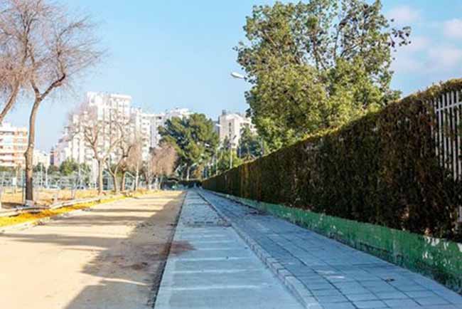 paseo-remeros-sevilla-2