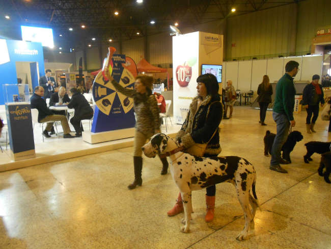 FOTO AMBIENTE DOM 2015-10