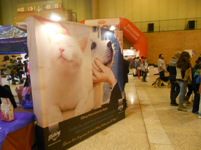 FOTO APERTURA SAB 2015-3