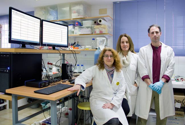 Grupo-de-investigacion-Traduccion-Local-Sinaptica-en-laboratorio-de-la-F.-Medicina-US