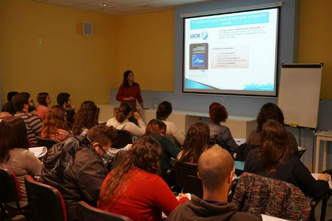 curso tiburones en acuarios