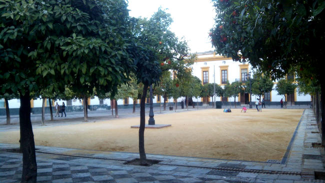 patio-banderas-reurbanizado-fran-amador