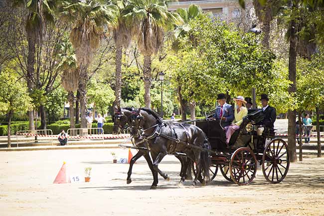 concurso-internacional-enganches-15