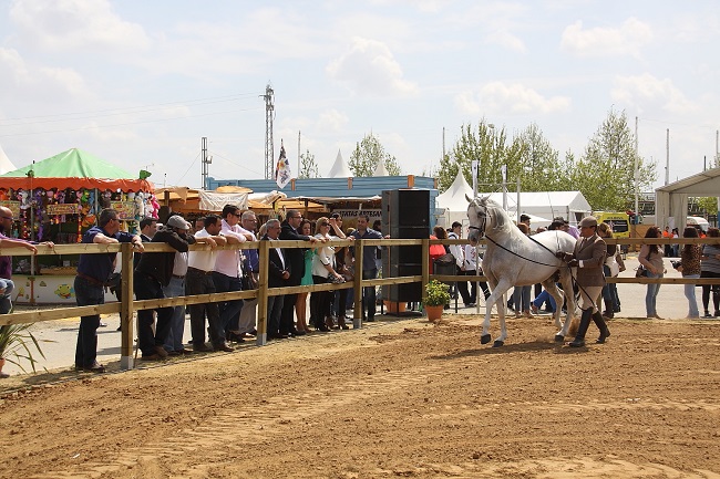 feria-agronadera-palacios