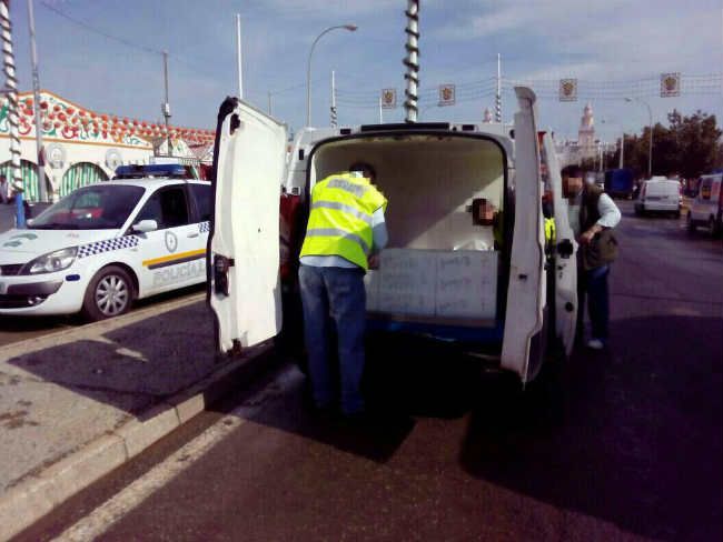 foto comisado de alimentos