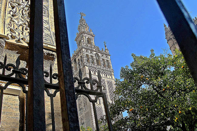giralda-primavera-sevilla