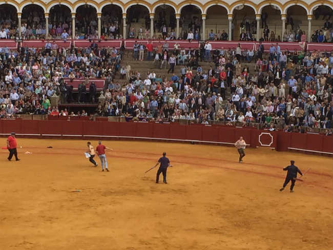 maestranza lorena limon