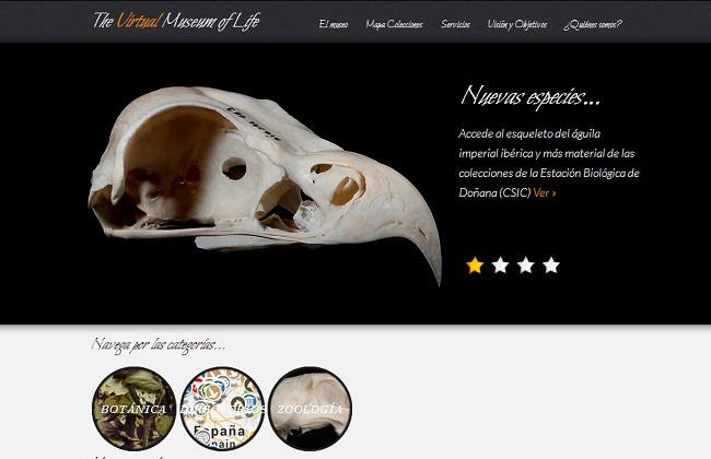 museo-virtual-hispalense