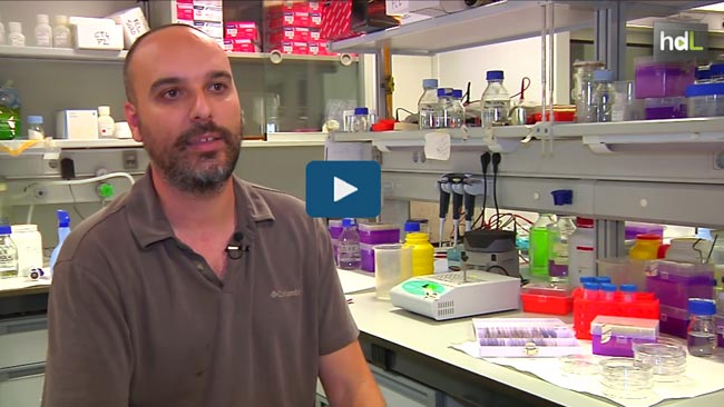 felipe-cortes-investigador