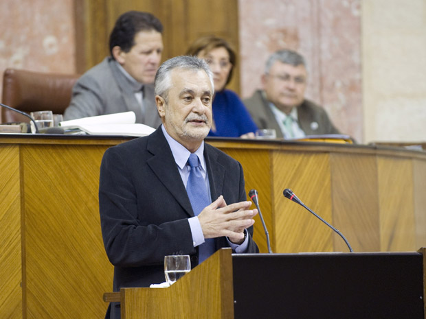 grinan-pleno-febrero-2010