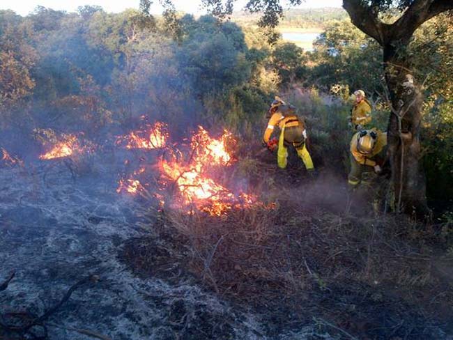 incendio-forestal-el-ronquillo