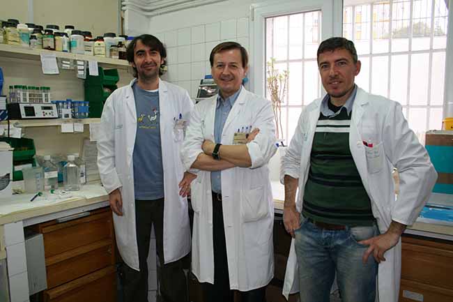 grupo-investigacion-us-leptina