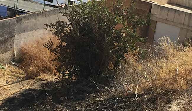 ladera-castillo-alcala