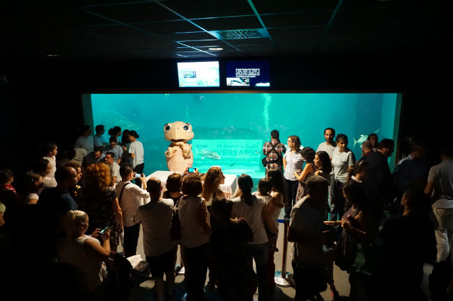 Primer Aniversario Acuario Sevilla 3