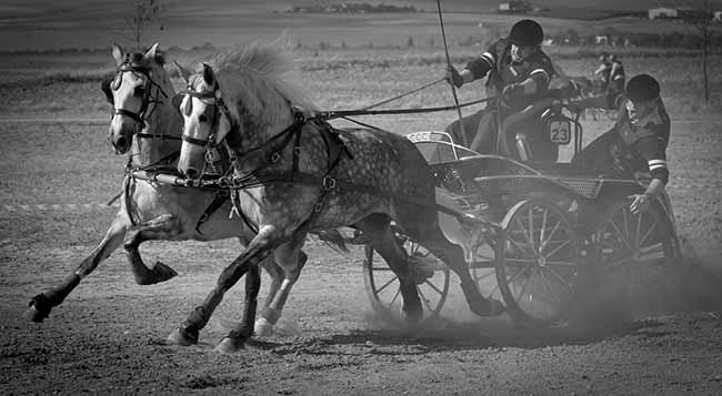 enganche-social-gines