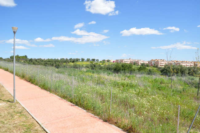 parcela colegio tomare