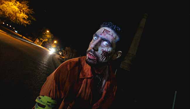 survival-zombie-2015