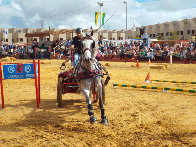 engache-para-gines-2015