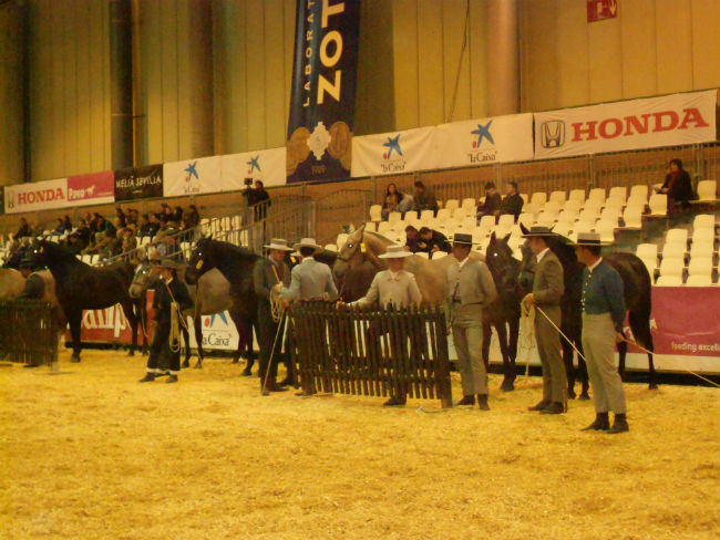 FOTO-SICAB-2013-PABELLONES