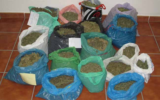 bolsitas-marihuana-marchena-guardia-civil