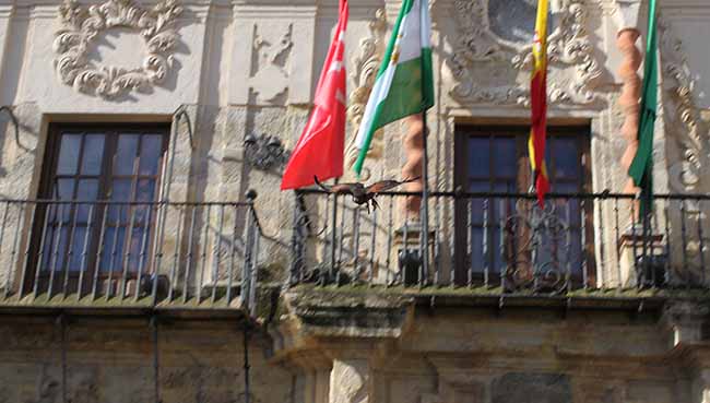 campana-palomas-edificios-municipales